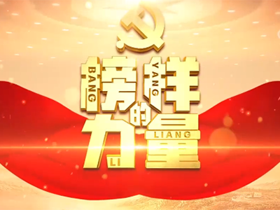 《榜样的力量》